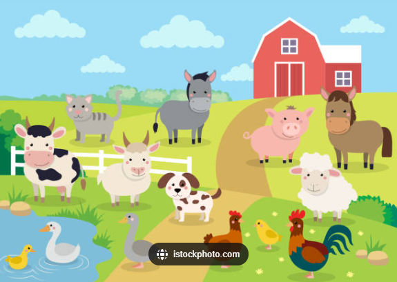 Altijd al eens boer willen zijn? Wordt dierverzorger bij de kinderboerderij