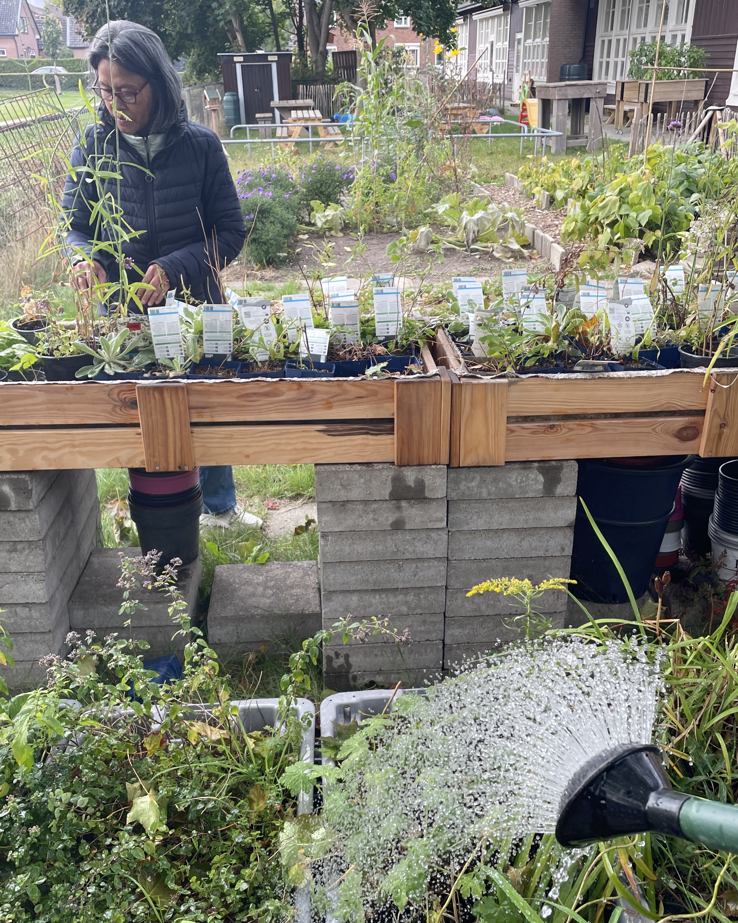 Plantenbank Coördinator - Stichting Ontkiemen (3 uur / week)