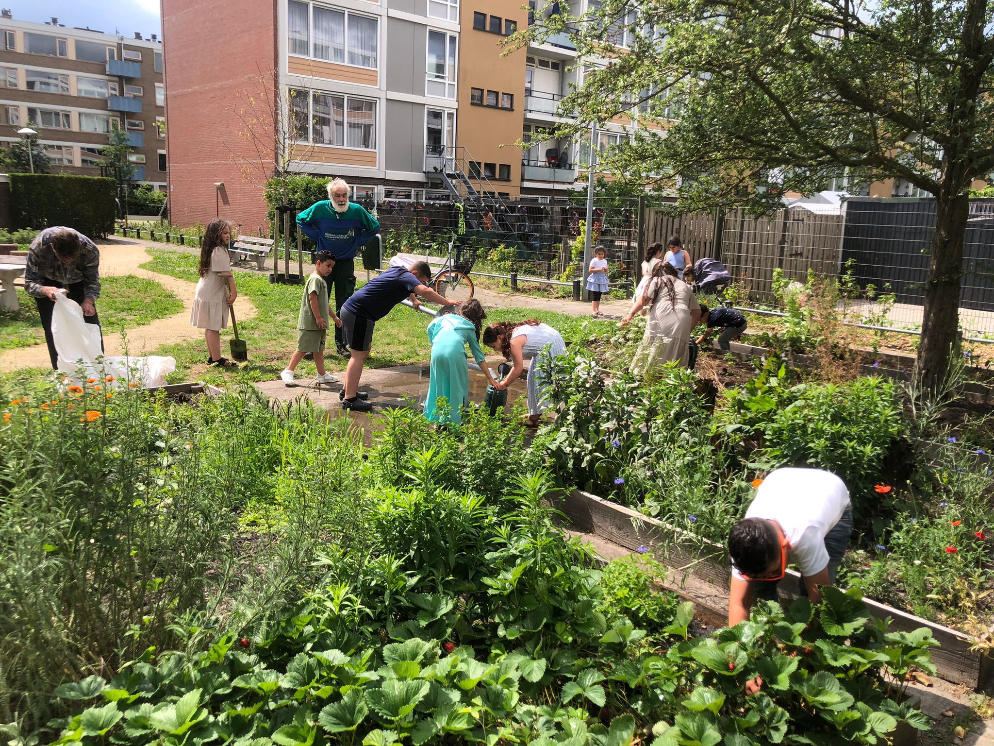 Activiteiten begeleider Alexandertuin